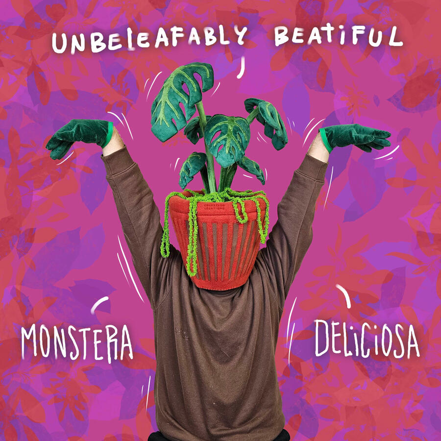 MonsteraDeliciosa