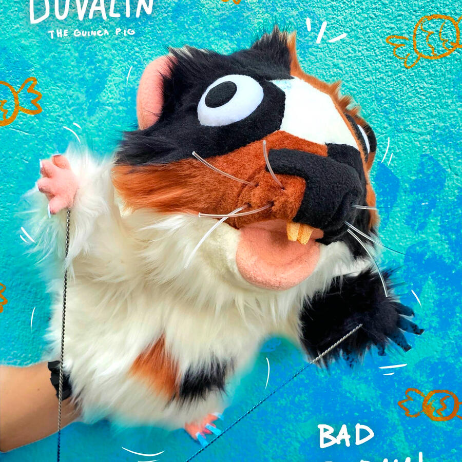 Guinea-Pig