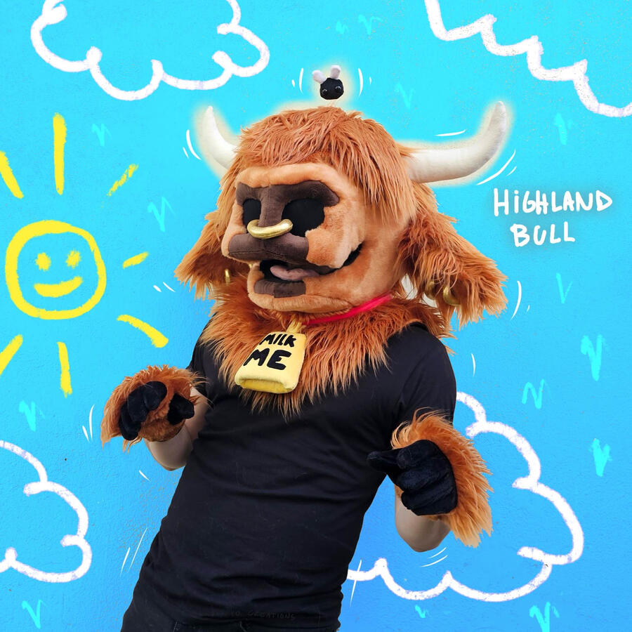 HighlandBull