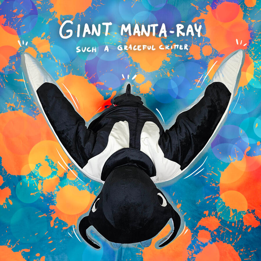Manta-Ray