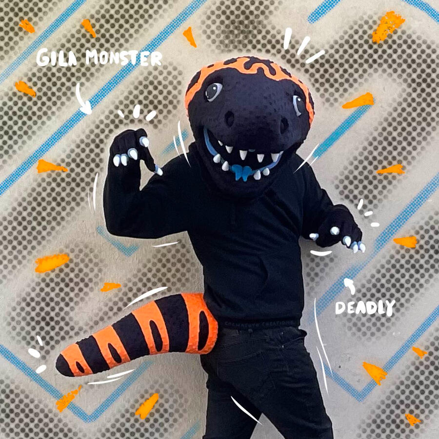 GilaMonster